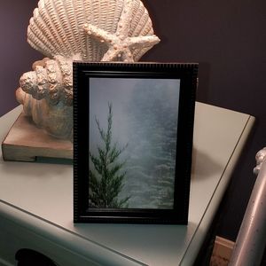 📷~Framed Photography Print~📷
